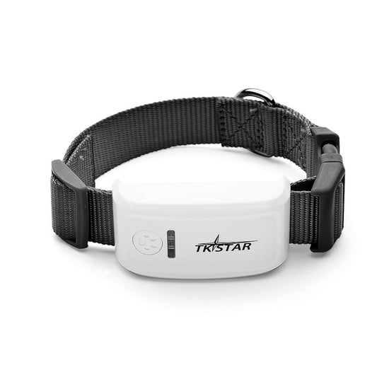 Pet GPS Tracker with Geofence Alerts