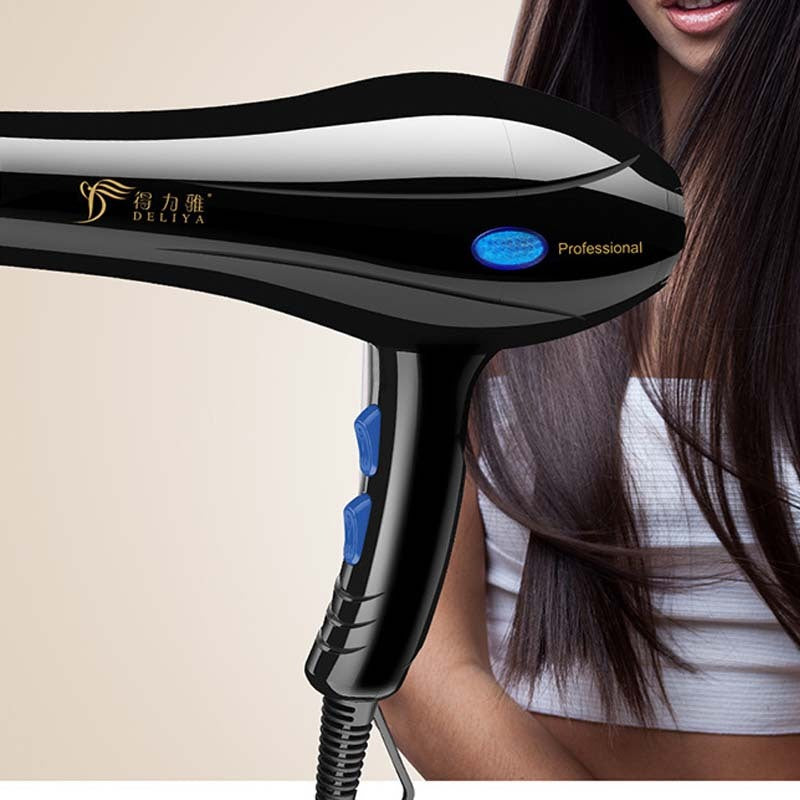220 V Ionic Hair Dryer with Styling Nozzles